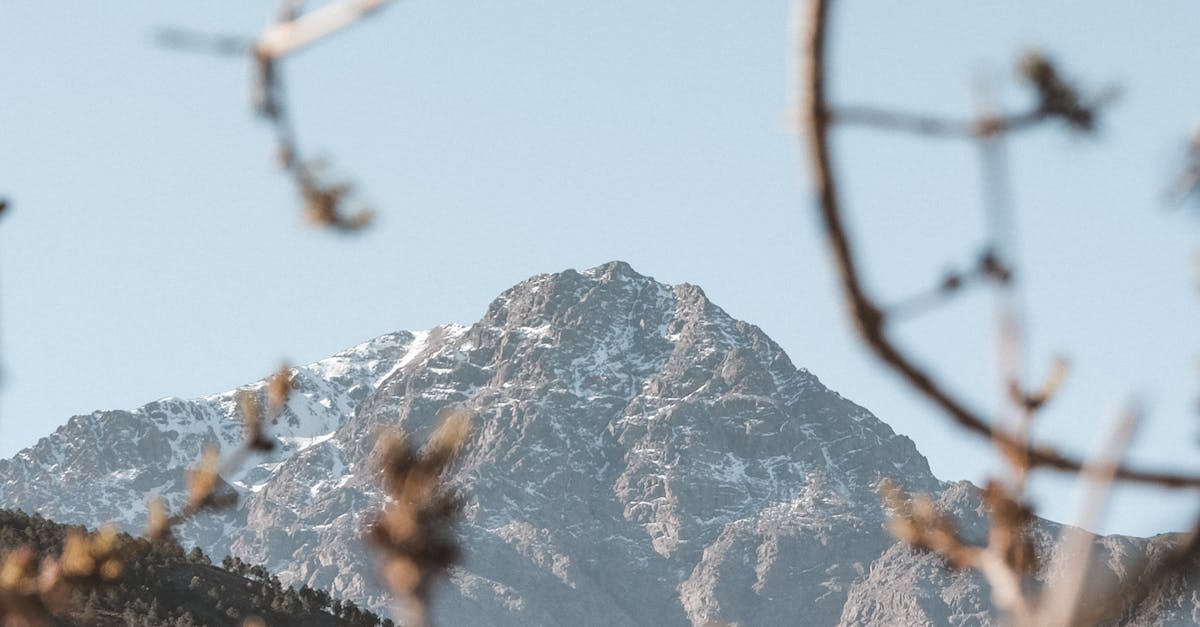What Makes Atlas Mountain Crafts Stand Out in Global Markets